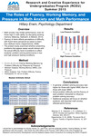 The Roles of Fluency, Working Memory, and Pressure in Math Anxiety and Math Performance by Hillary Erwin