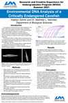 Enviromental DNA Analysis of a Critically Endangered Cavefish by Katelyn Gitner