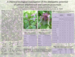 A Chemical Ecological Investigation of the Allelophatic Potential of Lamium Amplexcaule and Lamiun Purpureum by Chelsea D. Jones and Katherine E. Woods