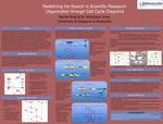 Redefining the Search in Scientific Research: Organization through Cell Cycle Diagrams by Rachel King