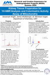 Kidney Tissue Preparation for 1H-NMR Analysis and Colorimetric Activity Assay of Mitochondria by Savannah Knight and James Wolfsberger