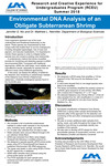 Environmental DNA Analysis of an Obligate Subterranean Shrimp