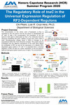 The Regulatory Role of tnaC in the Universal Expression Regulation of RF-2 Dependent Regulons