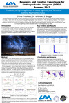 Clustering of Lightning Strokes to Study Lightning and Terrestrial Gamma-ray Flashes (TGFs)