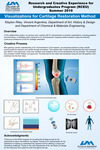 Visualizations for Cartilage Restoration Method