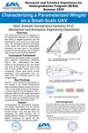 Characterizing a Parameterized Winglet  on a Small-Scale UAV
