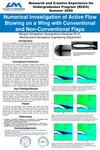 Numerical Investigation of Active Flow Blowing on a WIng with Conventional and Non-Conventional Flaps