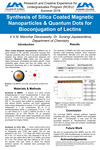 Synthesis of Silica Coated Magnetic Nanoparticles and Quantum Dots for Bioconjuration of Lectins