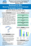 Sentiment in Situ: Measuring Automated Sentiment Analysis in the Native Language