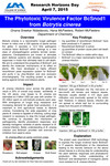 The Phytotoxic Virulence Factor BcSnod 1 from Botrytis Cinerea by Gnana Sreekar Nidadavolu and Hana McFeeters
