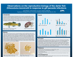 Observations on the Reproductive Biology of the Darter Fish Etheostoma Kennicotti in Response to Gill Parasite Infections
