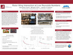 Rotor Wing Interaction of the Low Reynolds Numbers