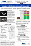 Examining Phylogenetic Relationships and Cryptic Diversity in Scoterpes Cave-Obligate Millipedes