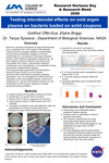 Testing Microbicidal Effects on Cold Argon Plasma on Bacteria Loaded on Solid Coupons