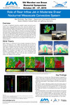 Role of Rear Inflow Jet in Moderate Shear Nocturnal Mesoscale Convective System by Blair Breitreiter and Ryan Wade